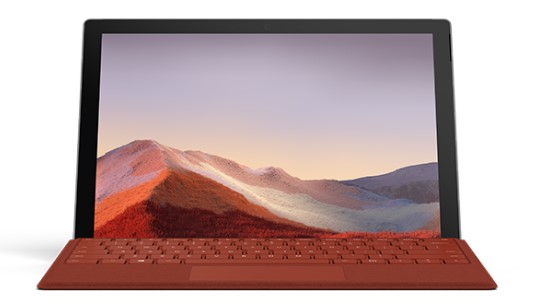 石首清洁和维护 Surface